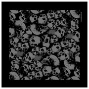 Hot Leathers BAB1063 Ancient Skulls Bandana